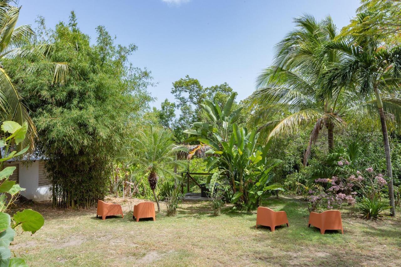 Vieques Tropical Guest House Exterior foto